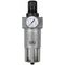 GAV Filter & Reducer In Line 1' Regulator